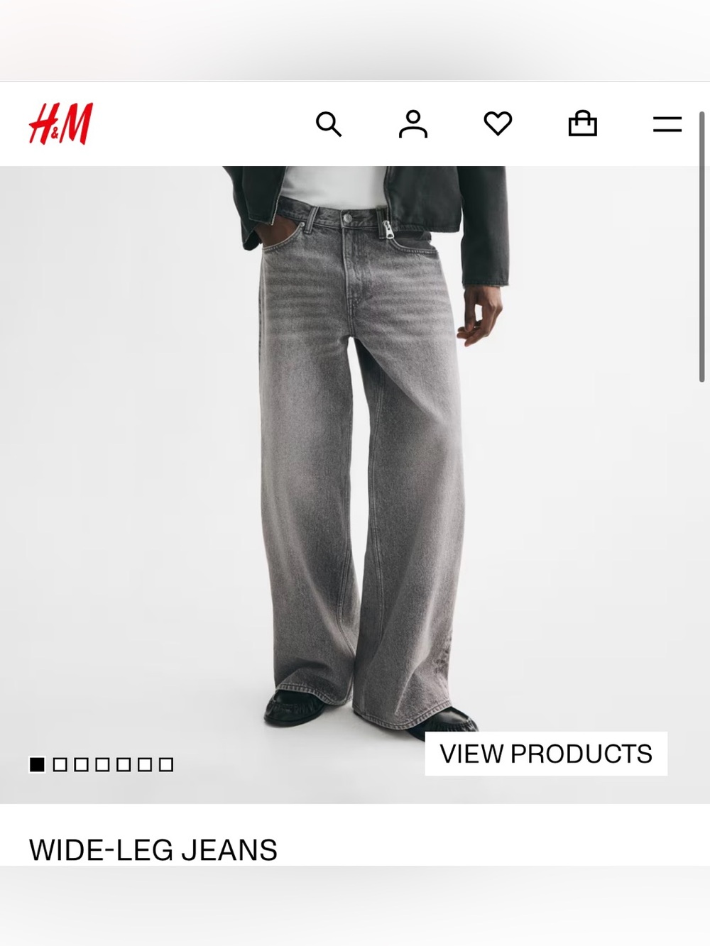H&M Denim Gray Wide-Leg Jeans Size 28/30